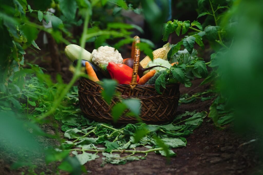 The Best Organic Fertilisers for Vegetable Gardens (Complete Guide)